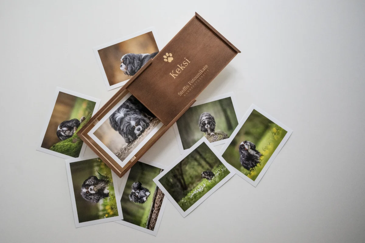 Foto einer individuell gravierten Holzbox gefüllt mit und umgeben von hochqualitativen Hundefotos