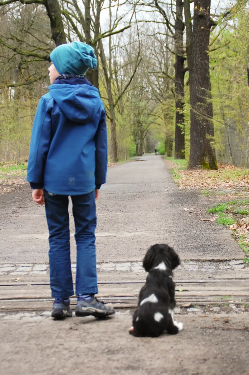 Ein kleiner Junge mit einem kleinen Hund schauen den Weg entlang.