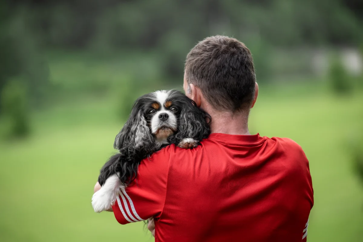 Ein Bild von einem Hund auf der Schulter eines Mannes