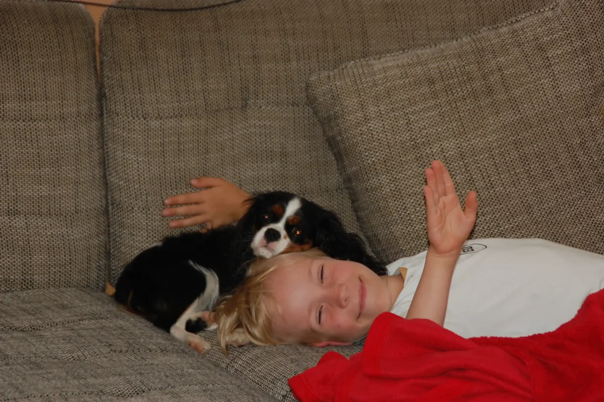 Ein Kleiner Hund mit einem Jungen auf der Couch.