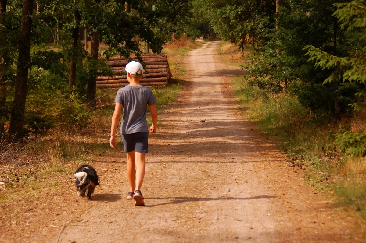 Ein Hund und ein kleiner Hund gemeinsam unterwegs.