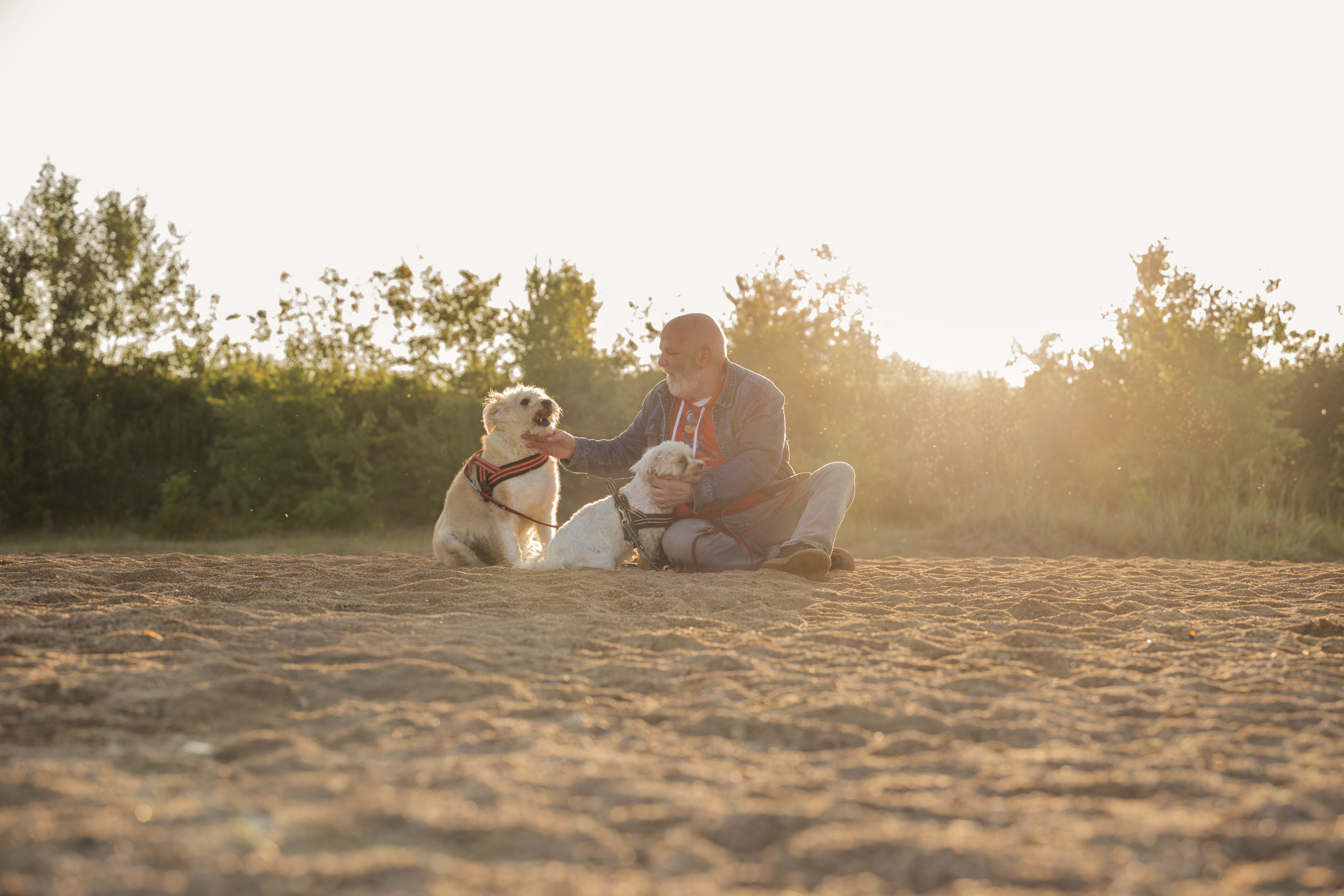 Ein ältere Mann mit zwei kleinen Hunden im Sand.