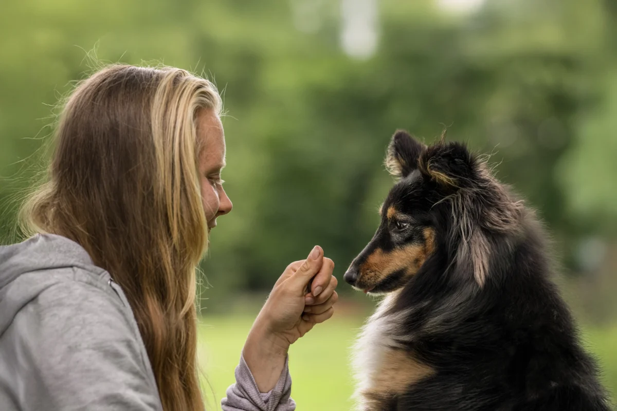 Eine Verbindung zwischen Mensch und Hund
