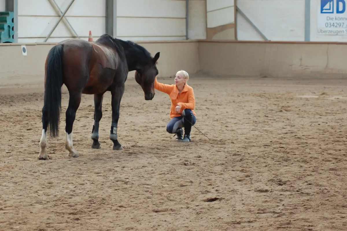 Eine junge Frau in einer Reithalle mit einem braunem Pferd.