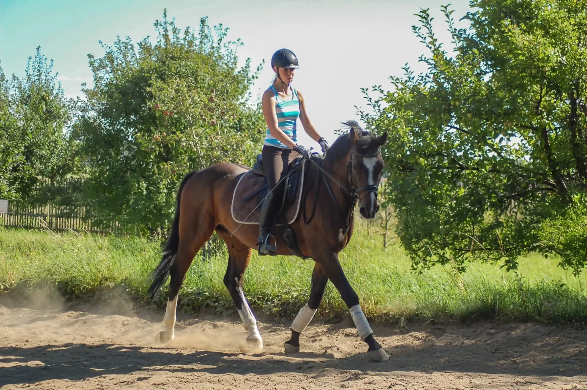 Eine junge Frau auf einem braunem Pferd.