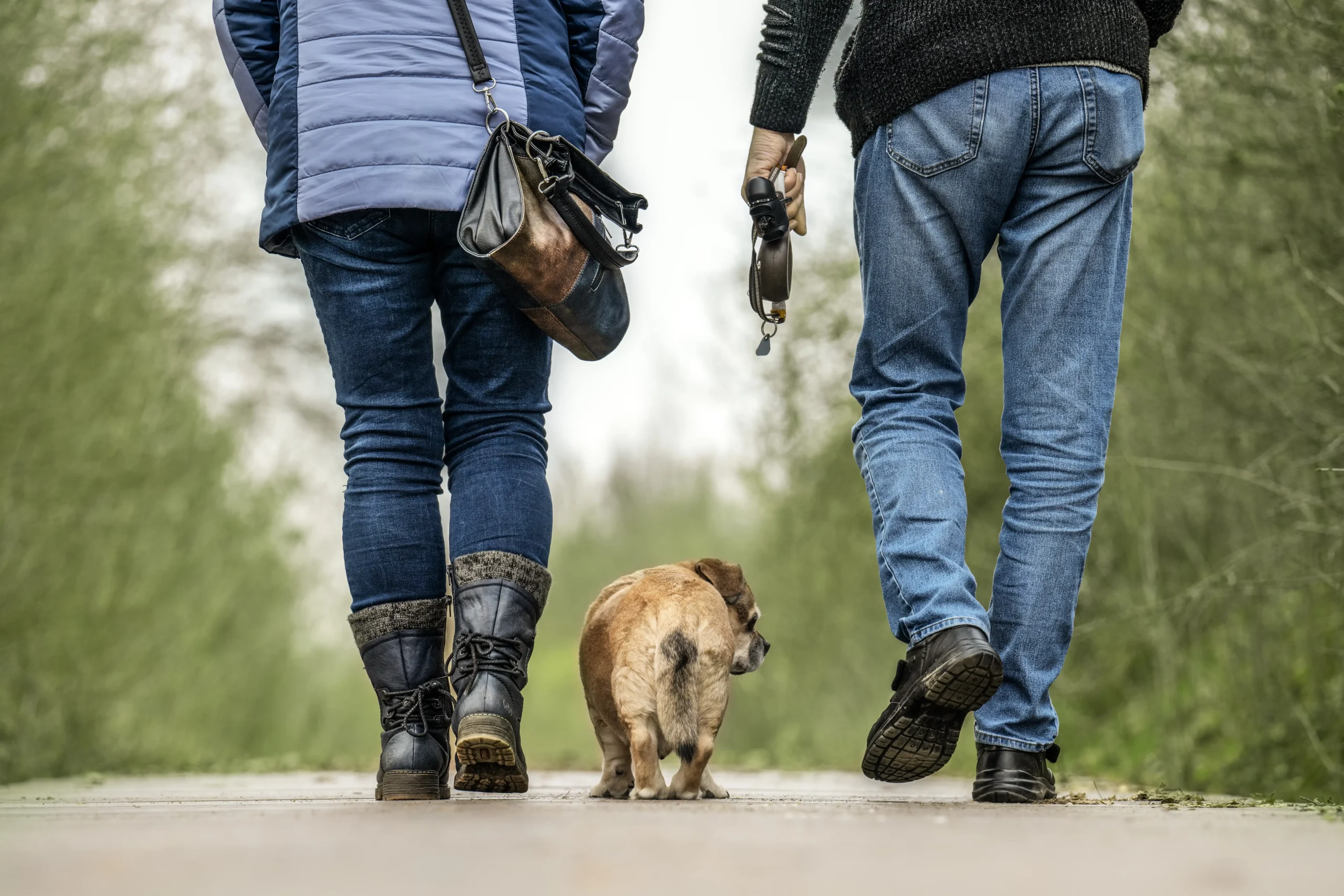 Hundeeltern mit ihrem Hund