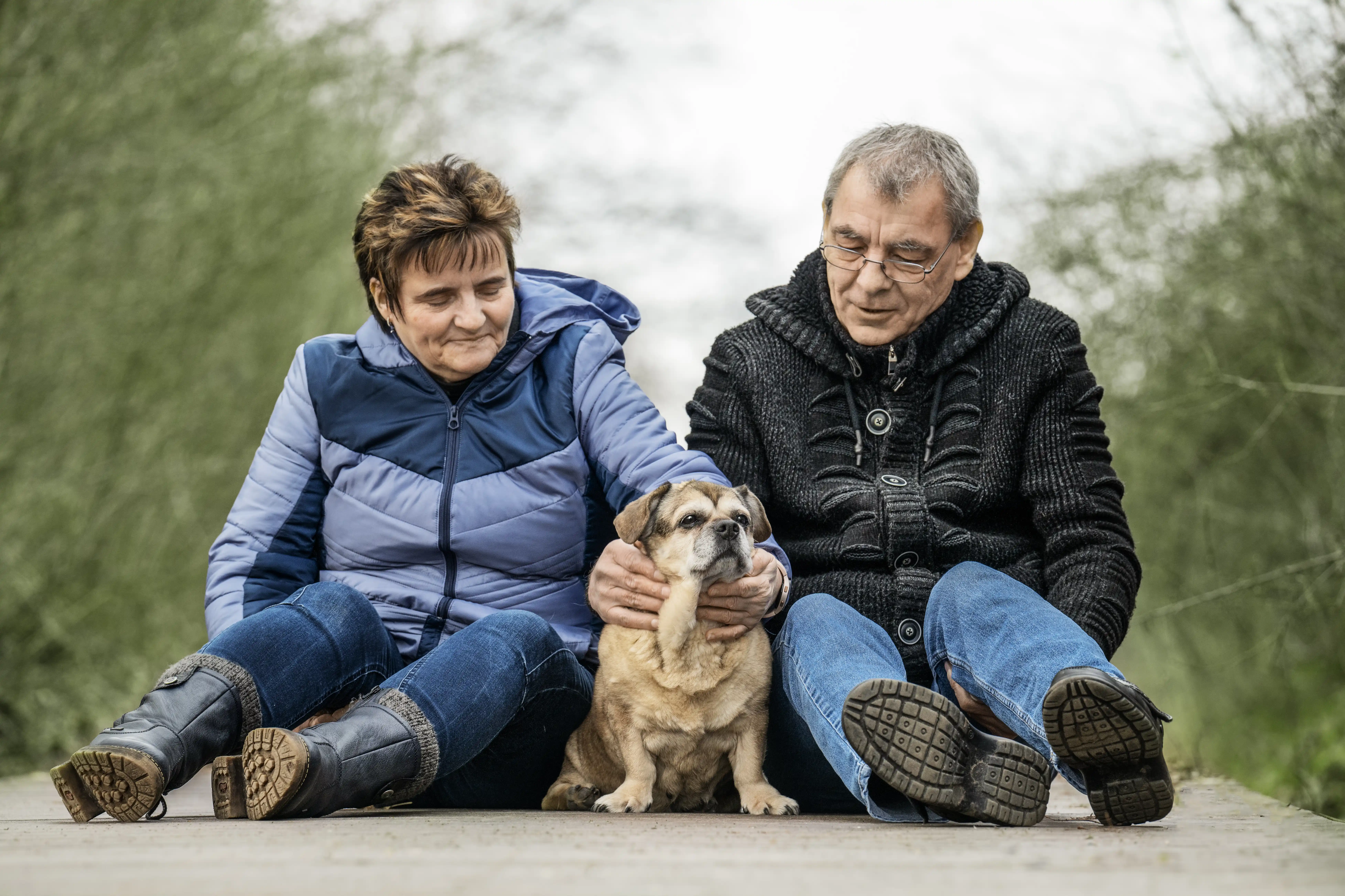 Eine kleine Hündin mit ihrer Familie