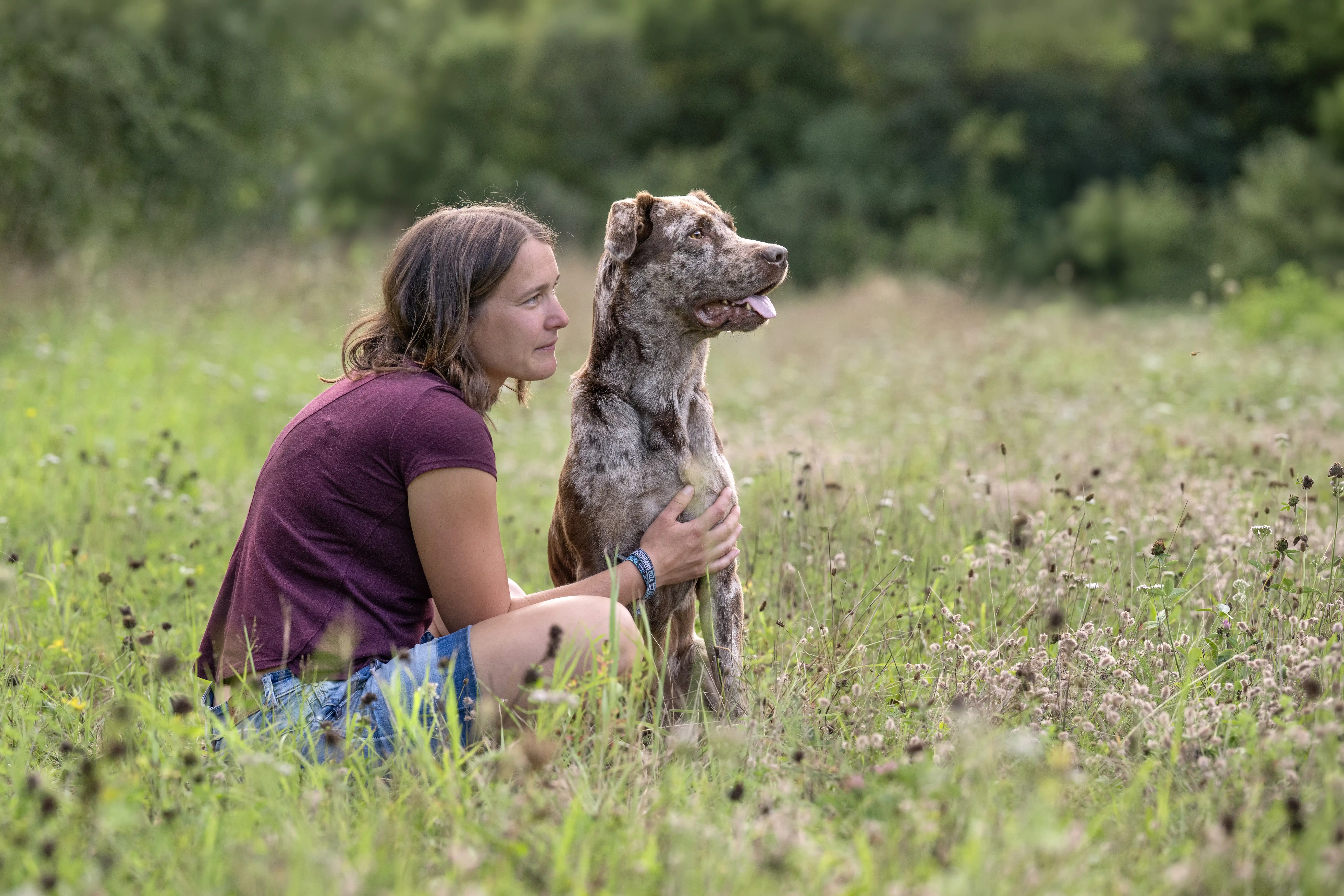 Eine junge Frau mit einem Aussiedor auf einer Wiese