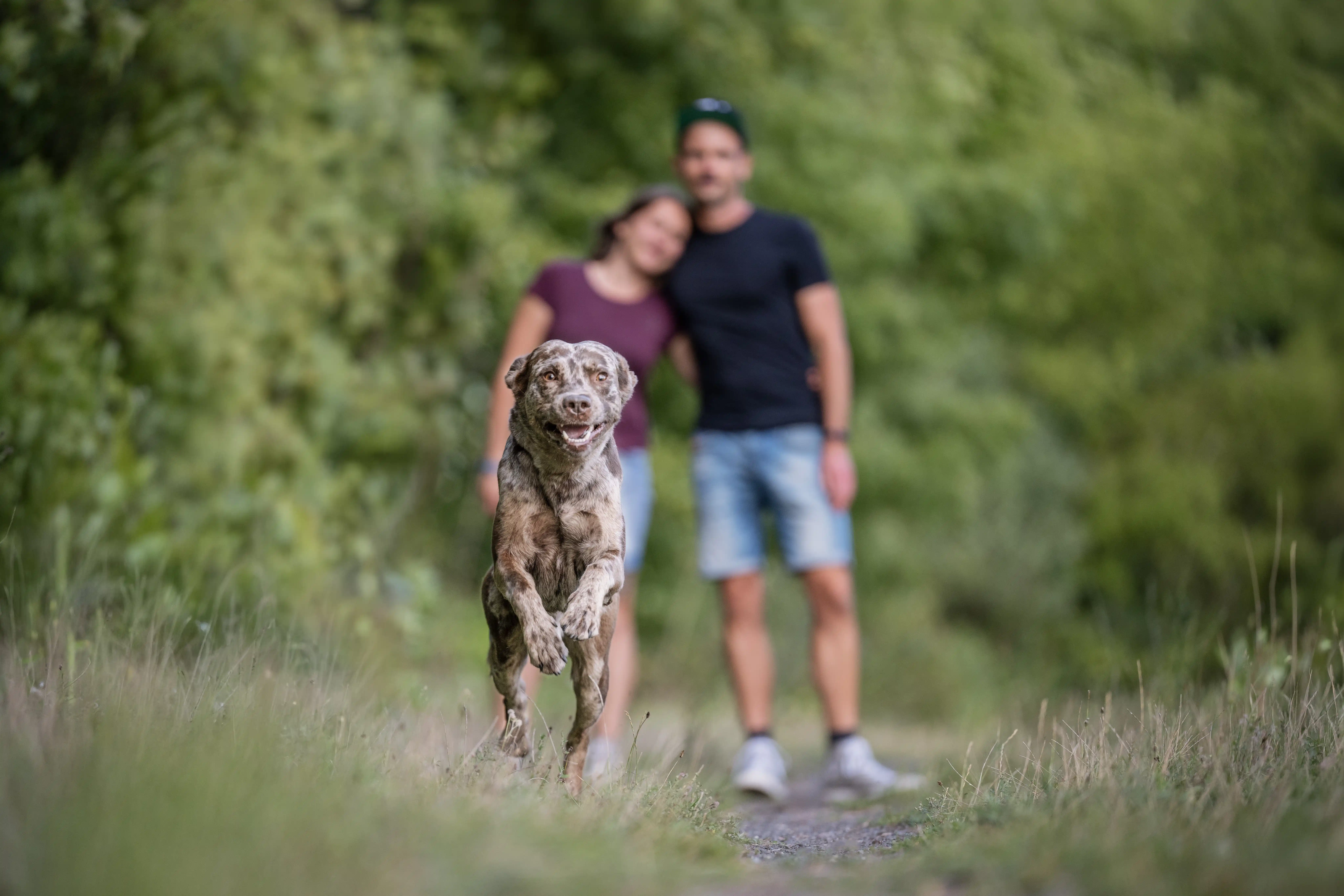 Zwei Menschen mit einem Aussidor